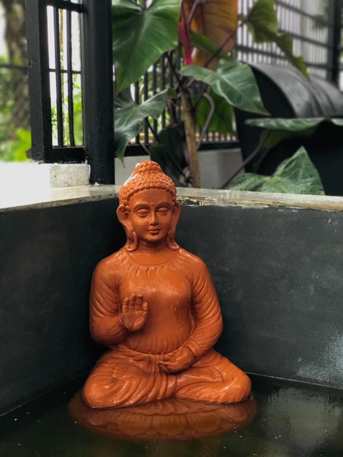 Padinjarathara Partho Home Stay מראה חיצוני תמונה