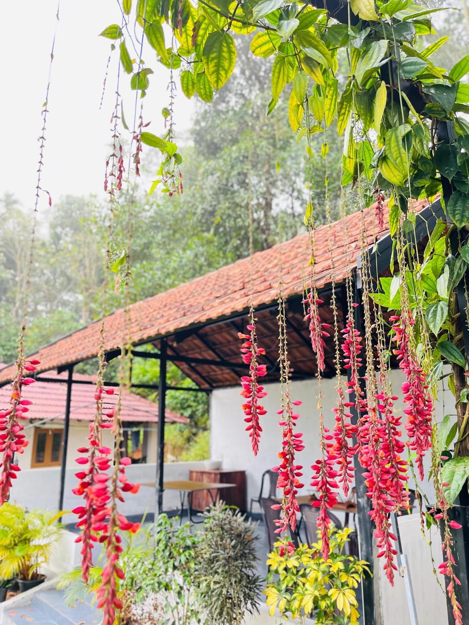 Padinjarathara Partho Home Stay מראה חיצוני תמונה